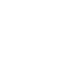 Resilient Network